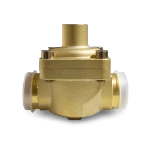 Valvula Check Desmontable PKV